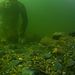 Die Schatzsucher - Goldtaucher der Beringsee Thumbnail