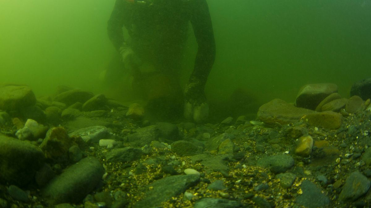 die schatzsucher - goldtaucher der beringsee
