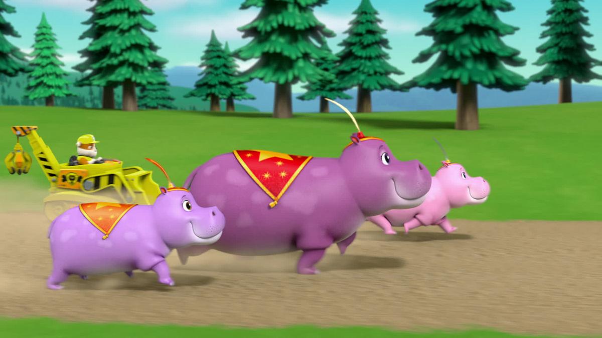 Paw Patrol - Helfer auf vier Pfoten paw patrol - helfer auf vier pfoten