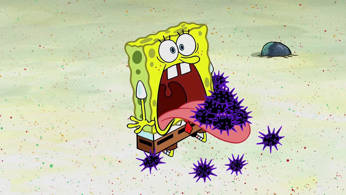 spongebob schwammkopf