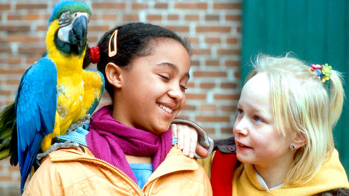 die kinder vom alstertal