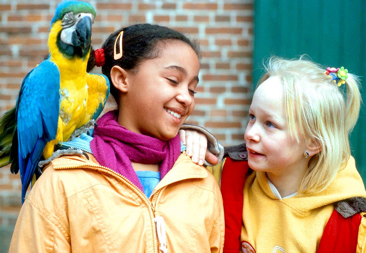 die kinder vom alstertal
