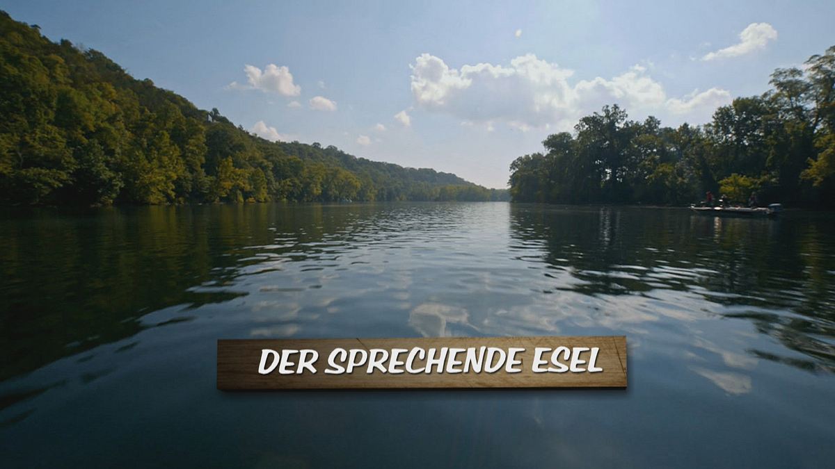 redwood kings - träume aus holz