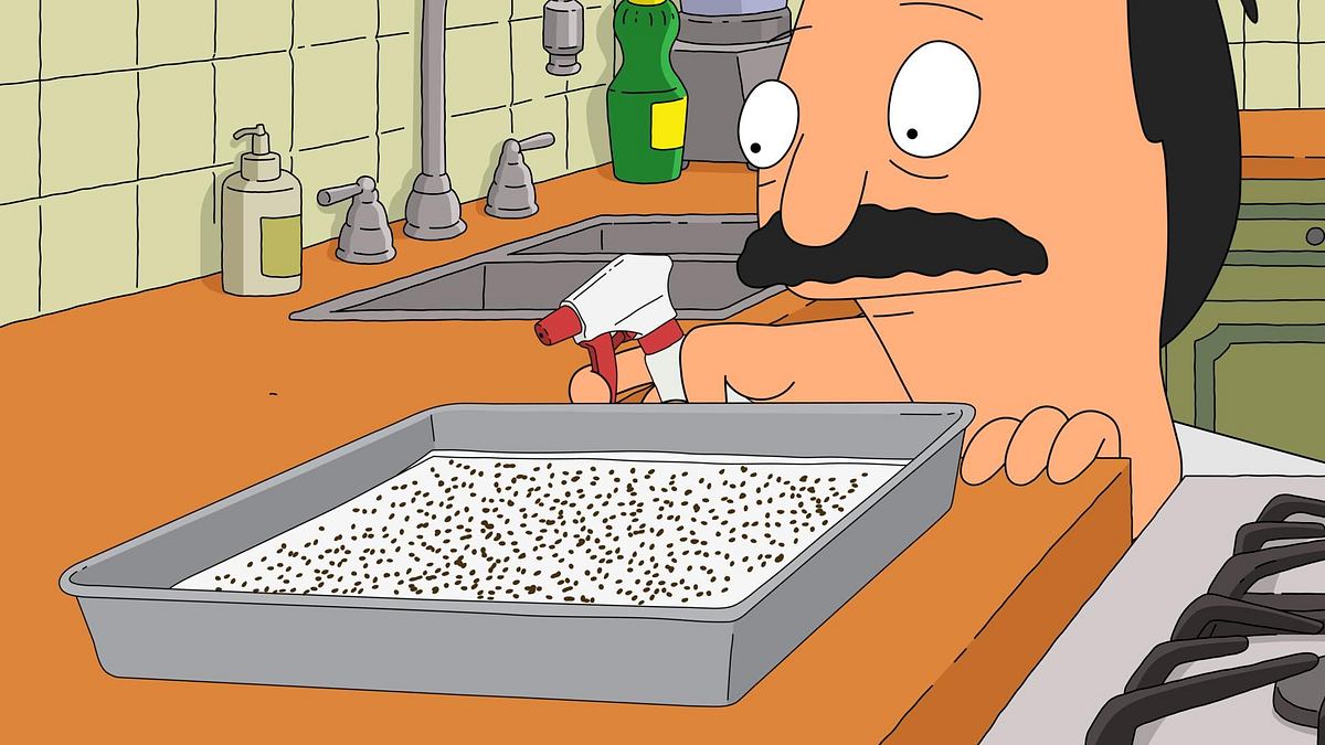 Bob's Burgers bob's burgers
