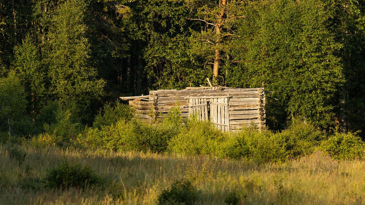 home rescue - wohnen in der wildnis