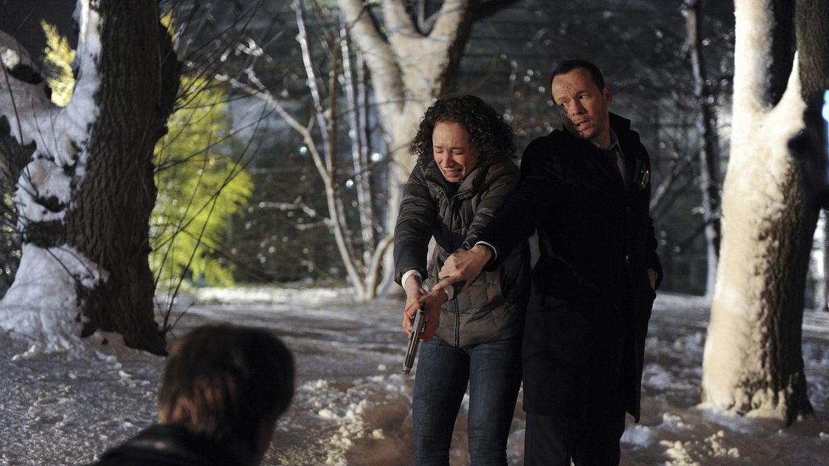 blue bloods - crime scene new york