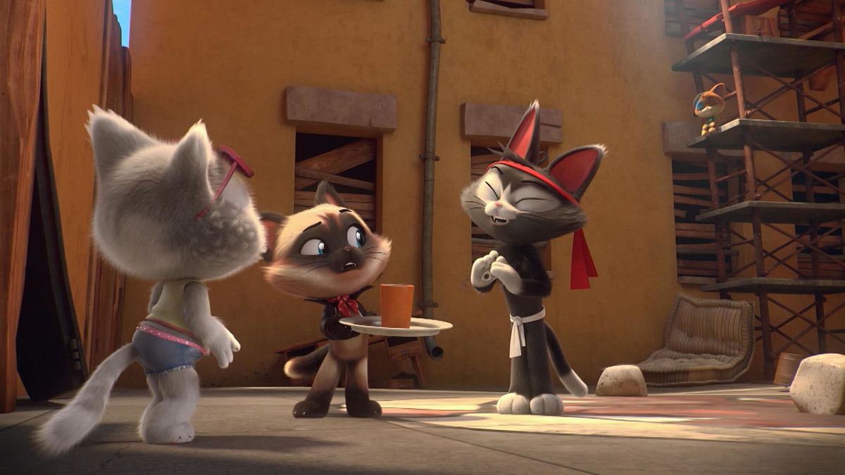 44 cats