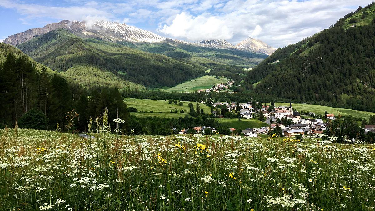 wunderland