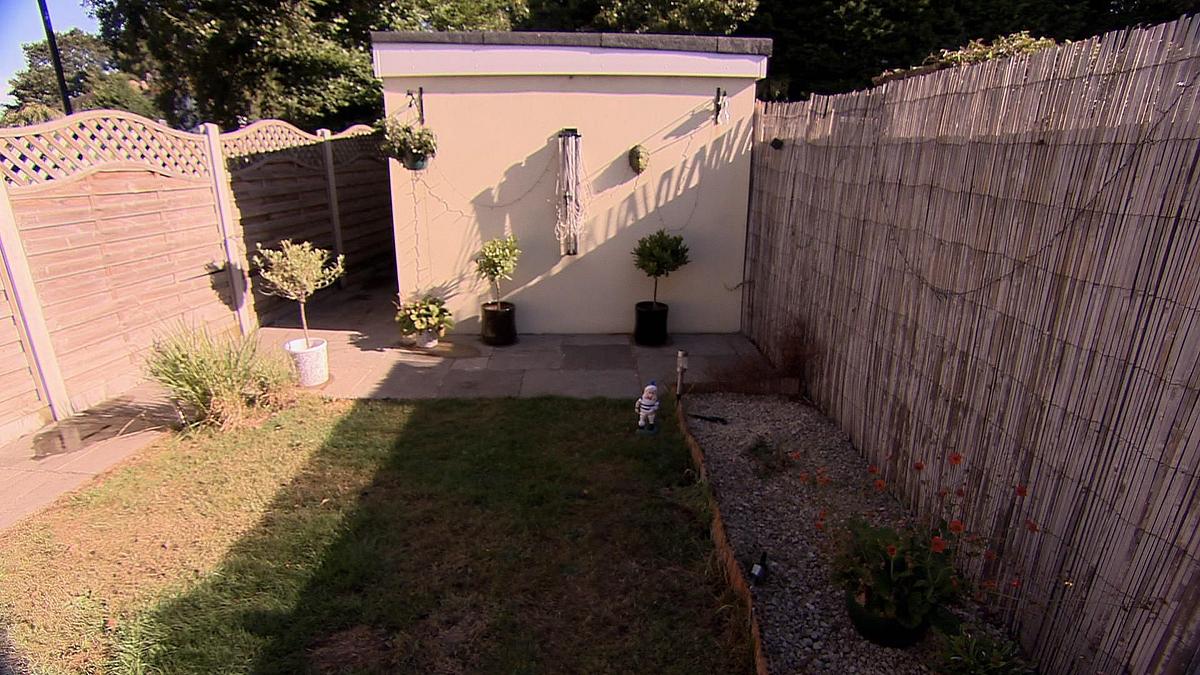 Garden Rescue: Wer rettet meinen Garten? garden rescue: wer rettet meinen garten?