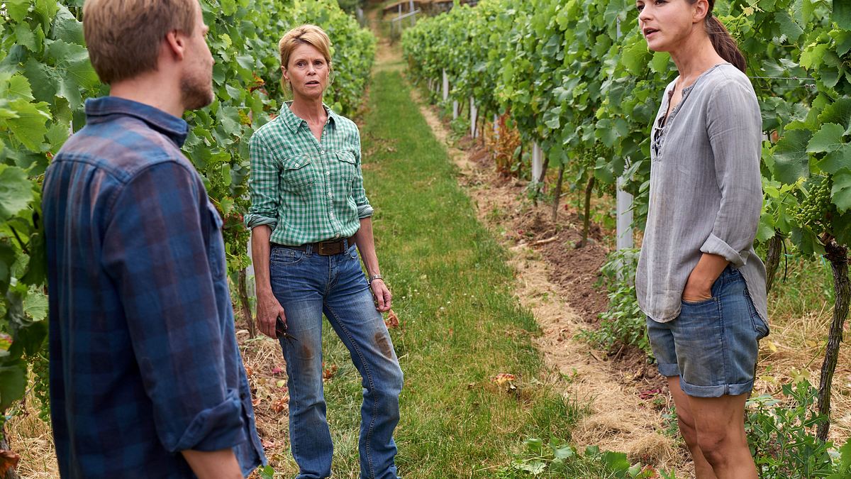 weingut wader