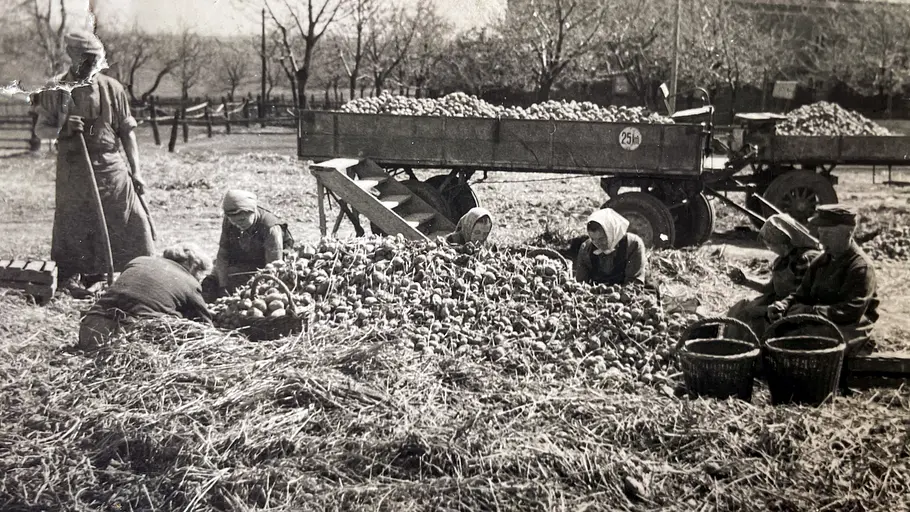 Geschichte der Landwirtschaft: Pflug und Segen - Der Kampf um Grund und Boden geschichte der landwirtschaft: pflug und segen - der kampf um grund und boden
