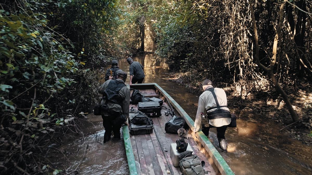 giganten unter wasser - riesenfischen auf der spur