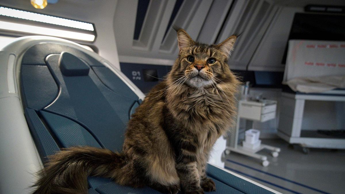 star trek: discovery