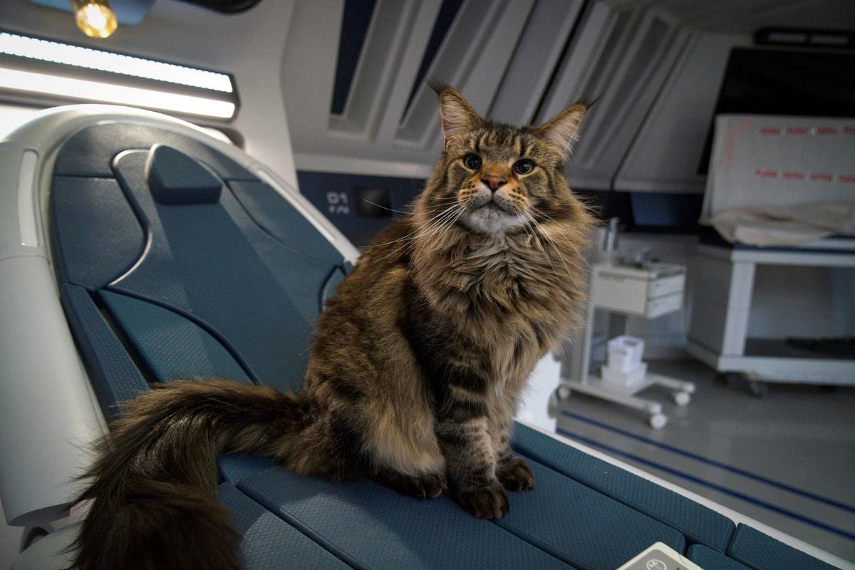 star trek: discovery