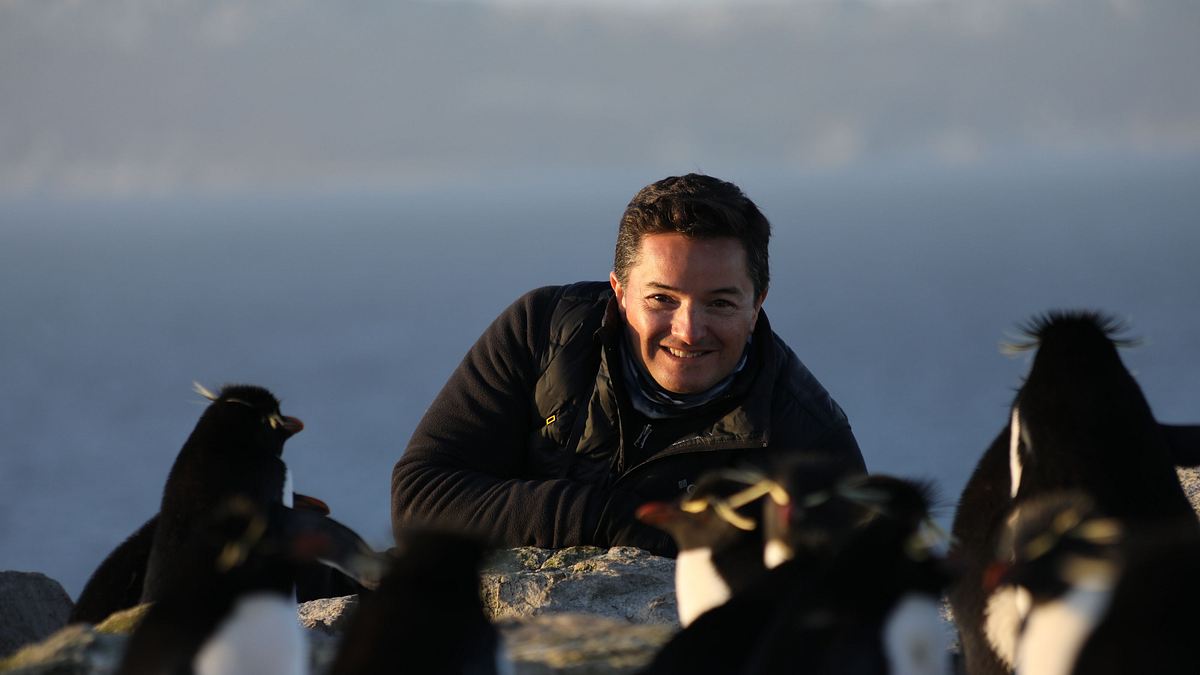 die geheimnisvolle welt der pinguine