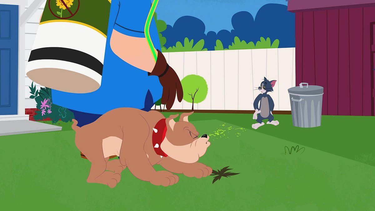 die tom und jerry show