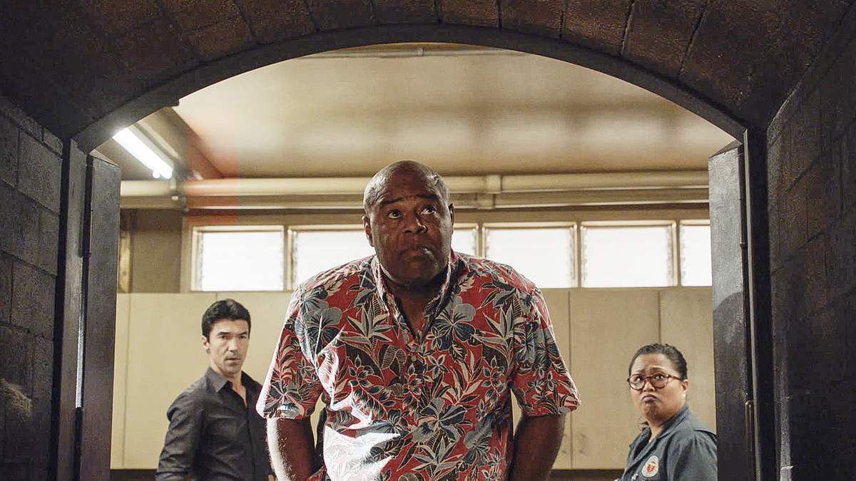 hawaii five-0