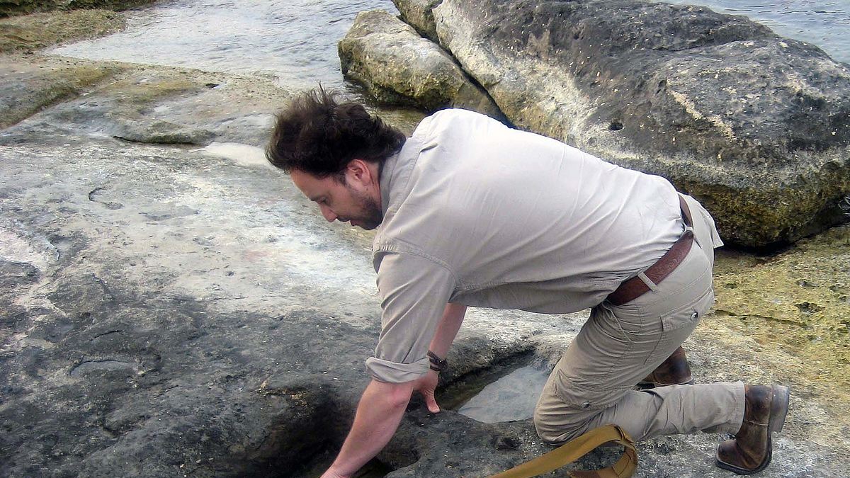 auf den spuren der aliens