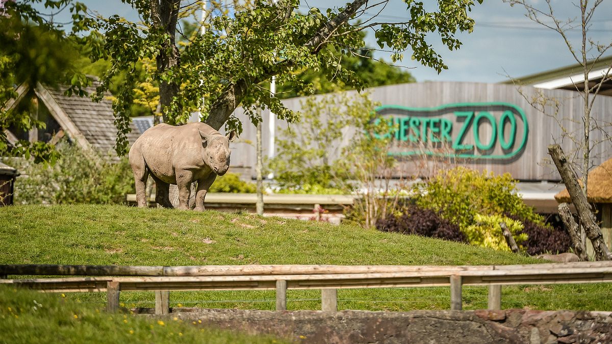 zoo und so - tierisch wild!