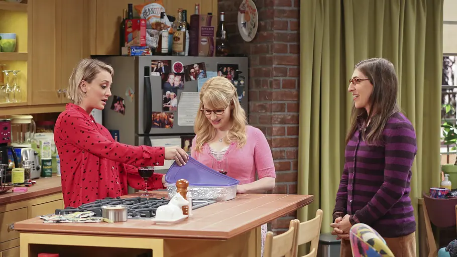 The Big Bang Theory the big bang theory