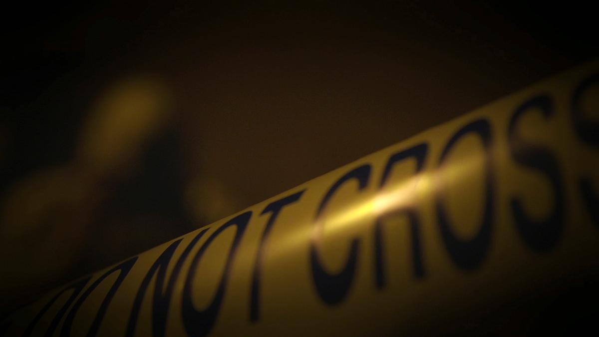 Expert Witness - Forensiker auf Spurensuche expert witness - forensiker auf spurensuche