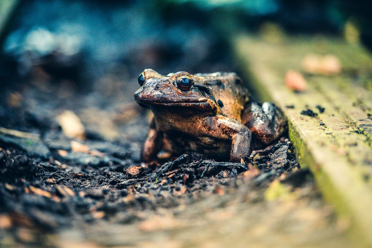 Zoo und so - Tierisch wild! zoo und so - tierisch wild!