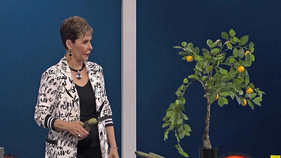 Joyce Meyer - Das Leben genießen joyce meyer - das leben genießen
