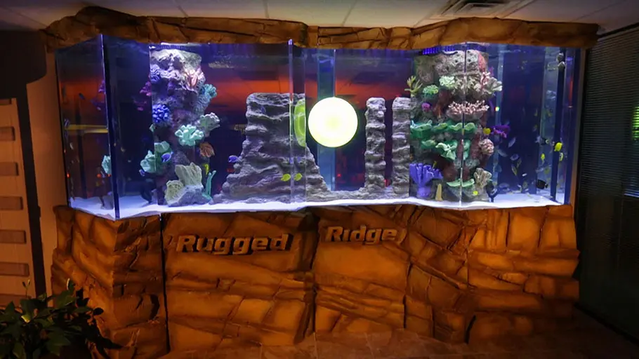 Die Aquarium-Profis die aquarium-profis