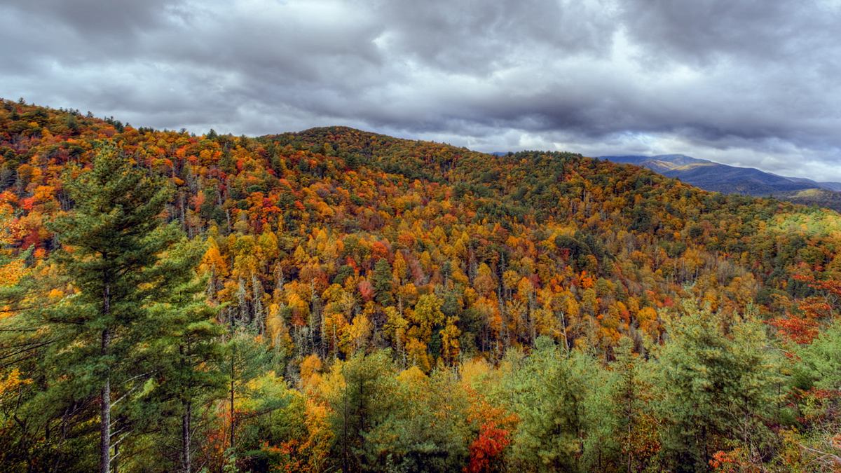 smoky mountains ranger