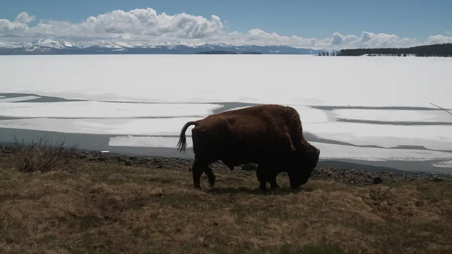 wyoming - im einsamen herzen amerikas