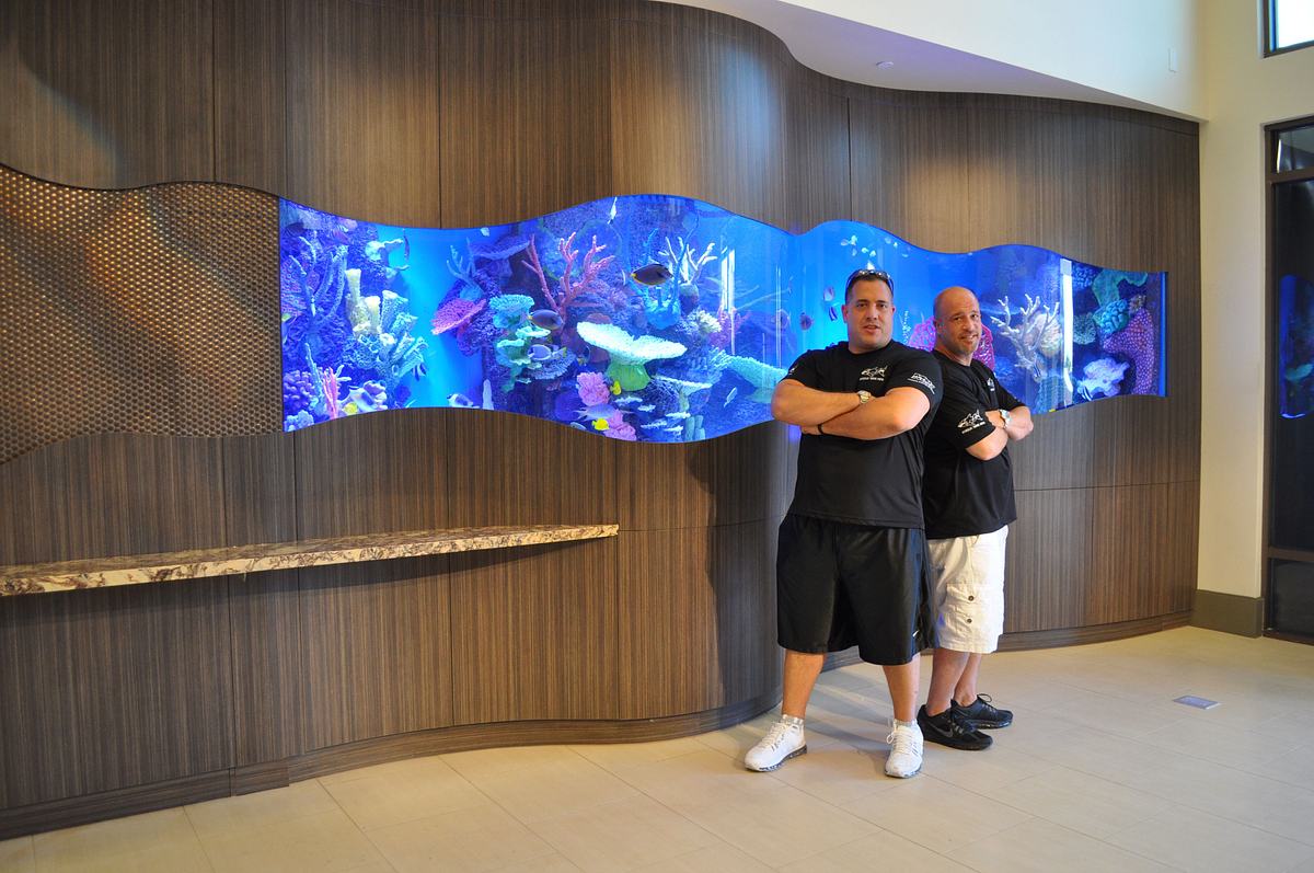 Die Aquarium-Profis die aquarium-profis