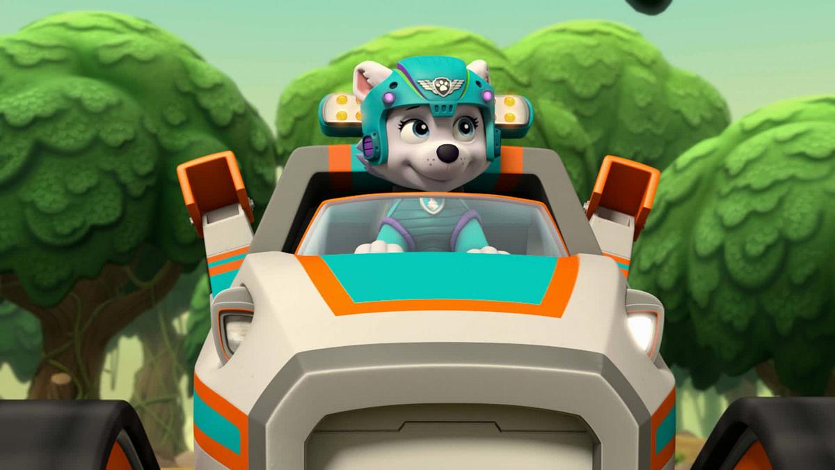 paw patrol - helfer auf vier pfoten