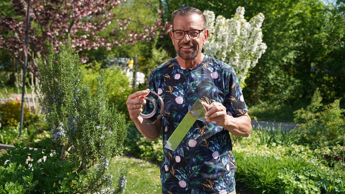 natur im garten