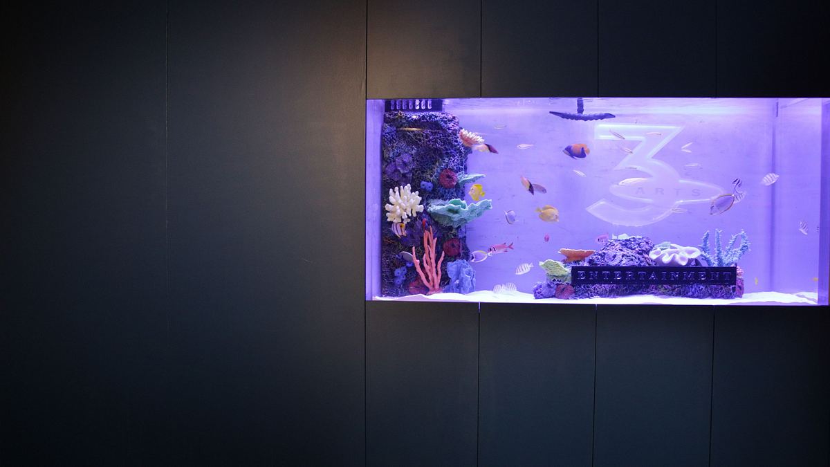 die aquarium-profis