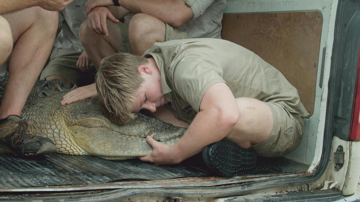 die irwins - crocodile hunter family