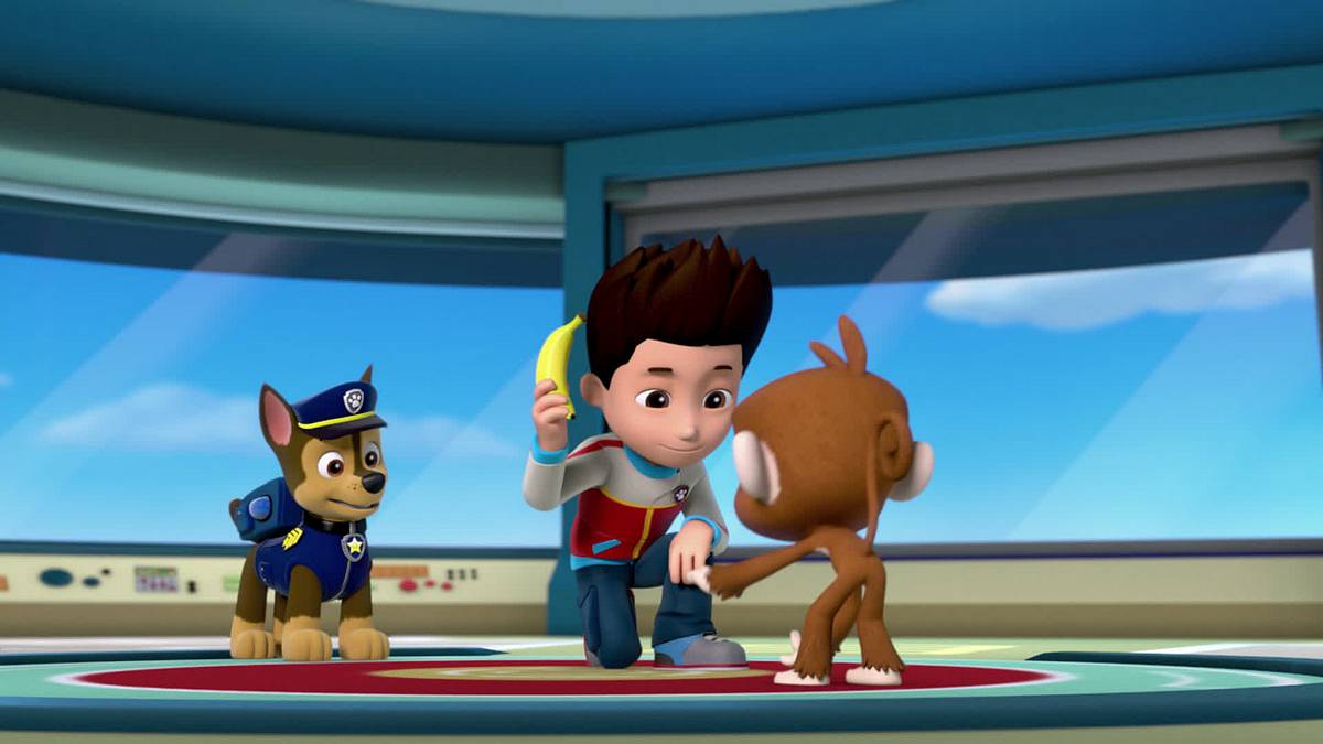 paw patrol - helfer auf vier pfoten