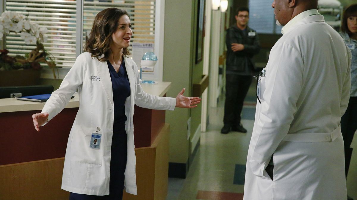 greys anatomy - die jungen ärzte