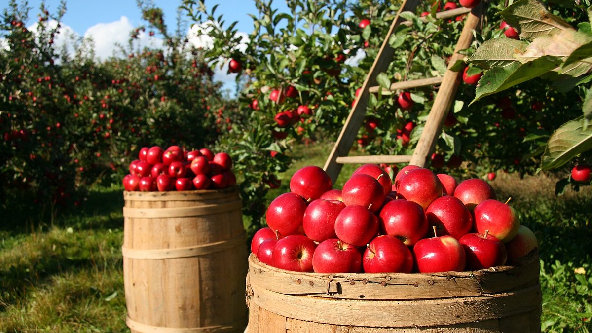 helden der landwirtschaft