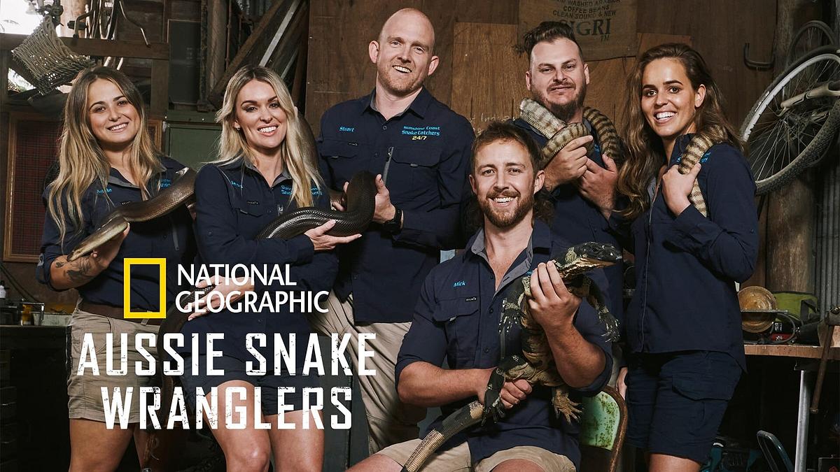 Snake Security - Schlangenalarm in Australien Snake Security - Schlangenalarm in Australien