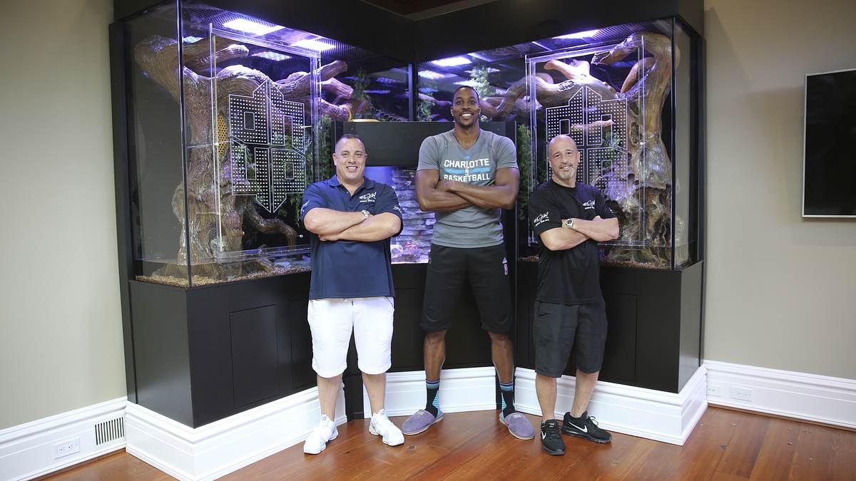 Die Aquarium-Profis die aquarium-profis