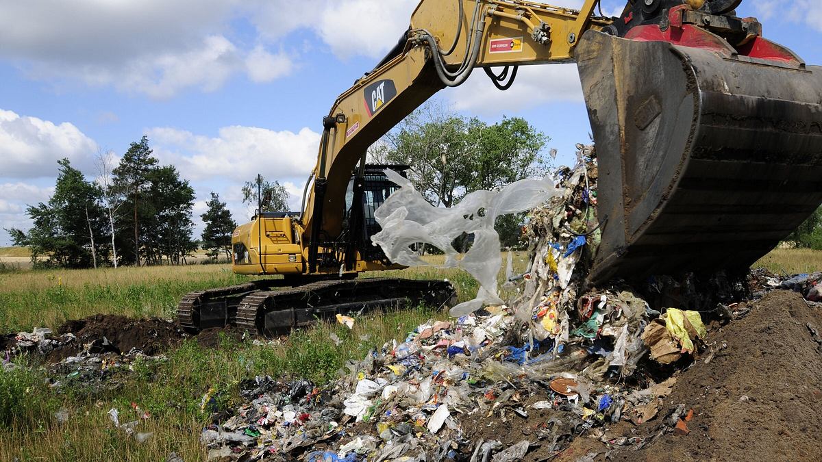 umwelt crime