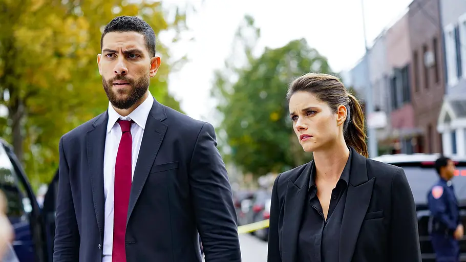 fbi: special crime unit