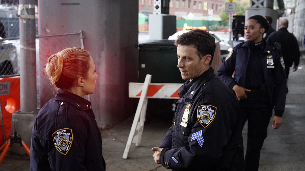 blue bloods - crime scene new york