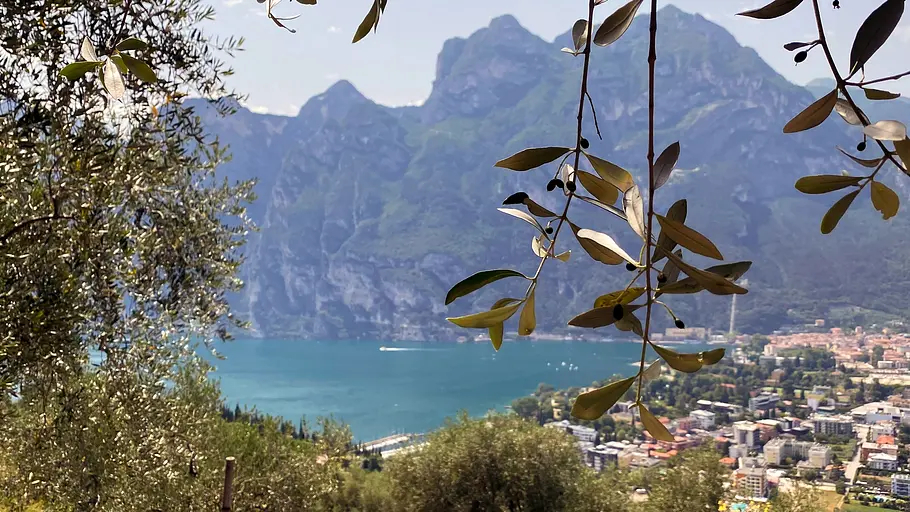 Das Trentino - Naturparadies in Norditalien das trentino - naturparadies in norditalien