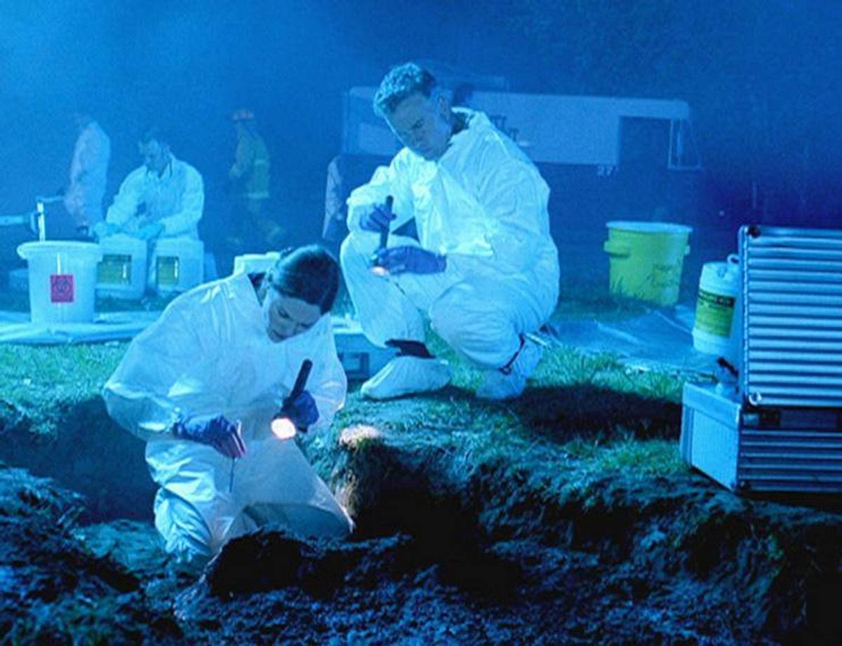 csi: den tätern auf der spur