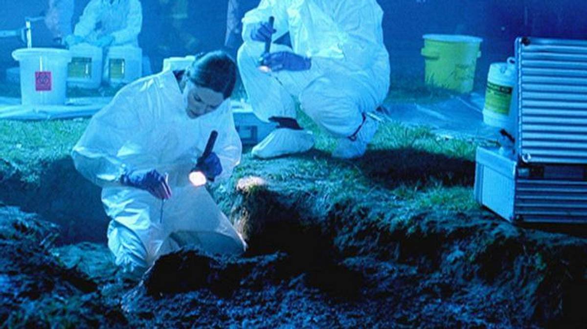 csi: den tätern auf der spur
