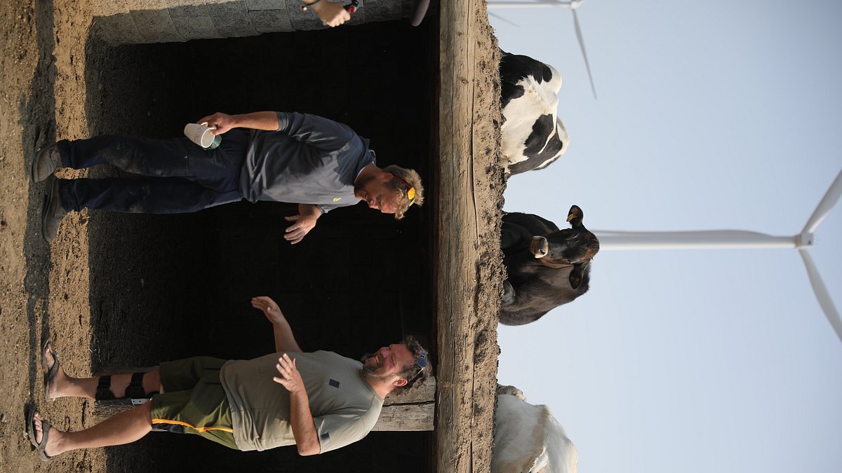 die unglaubliche pol-farm