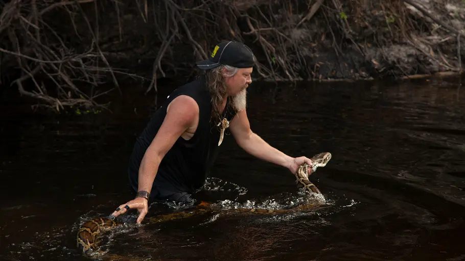 Die Pythonjäger - Einsatz in den Everglades die pythonjäger - einsatz in den everglades