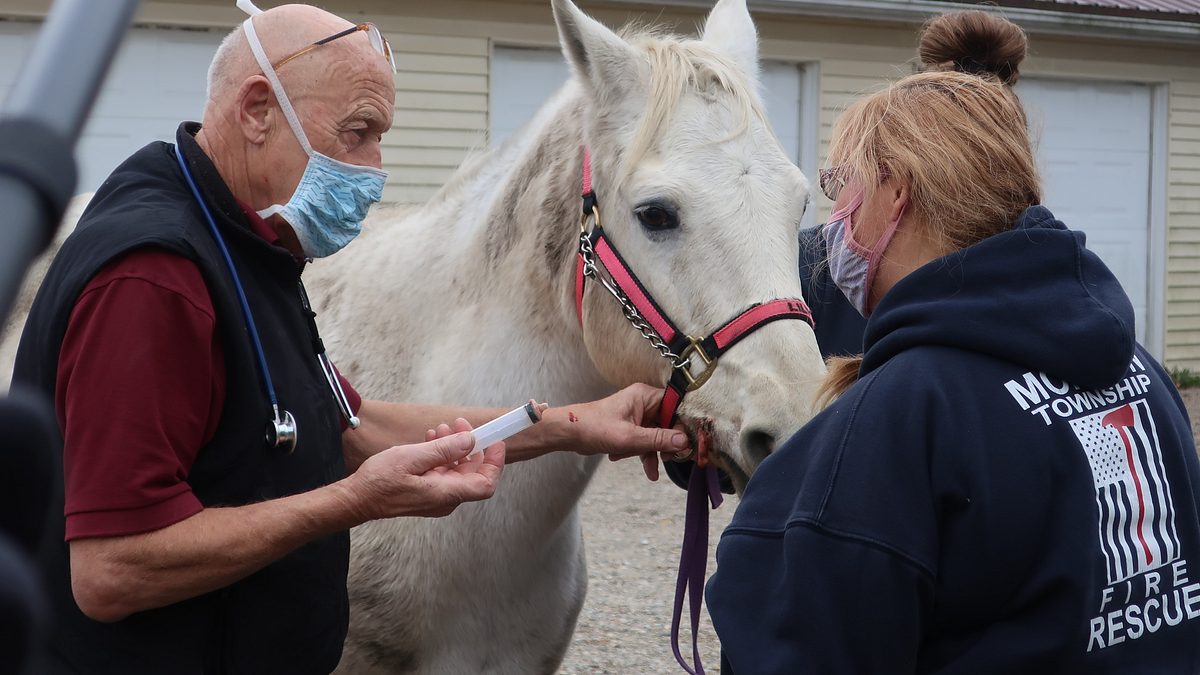 der unglaubliche dr. pol