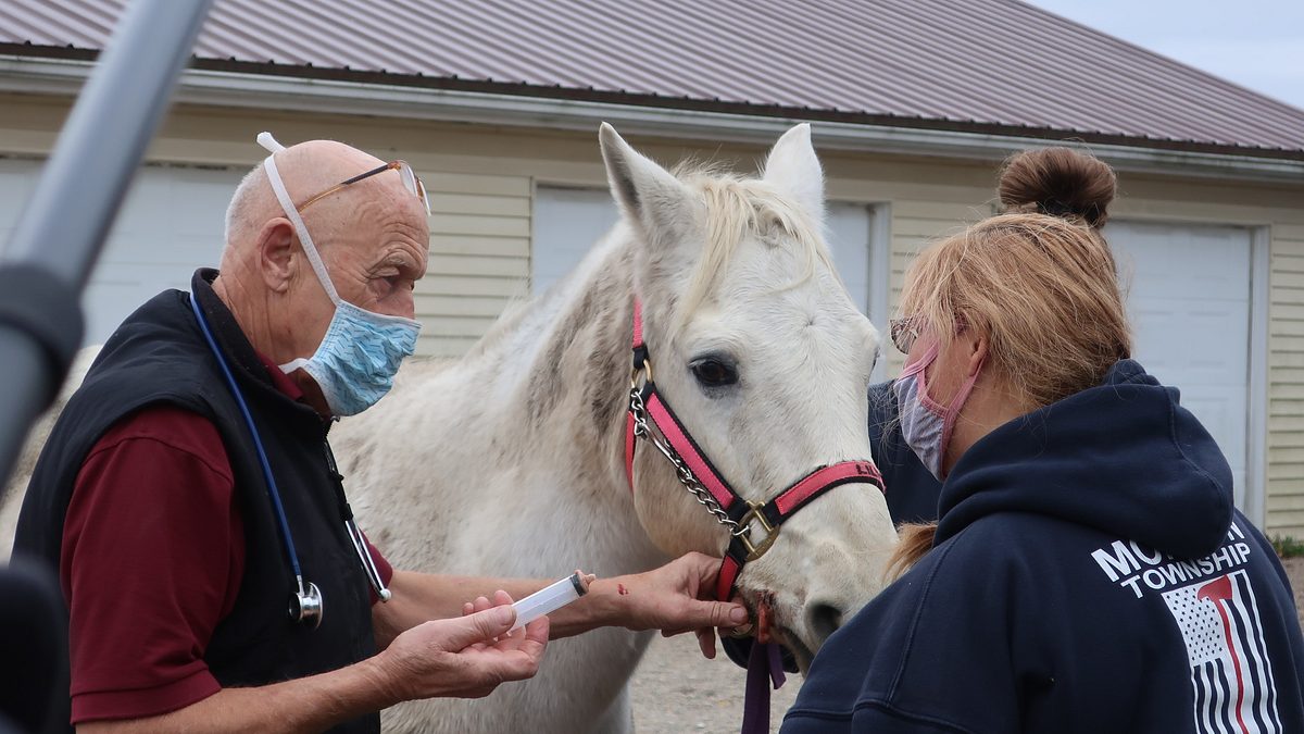 der unglaubliche dr. pol